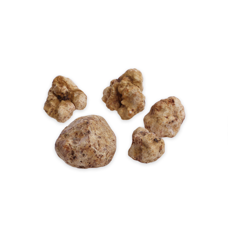 Truffel-weiss