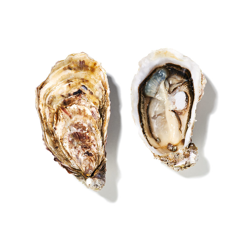 Creuse de Bretagne fine de Claire Nr. 2