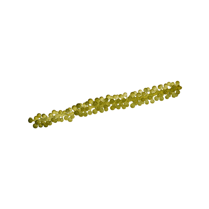 Koppert-Moai-Caviar-Meerestrauben-MD