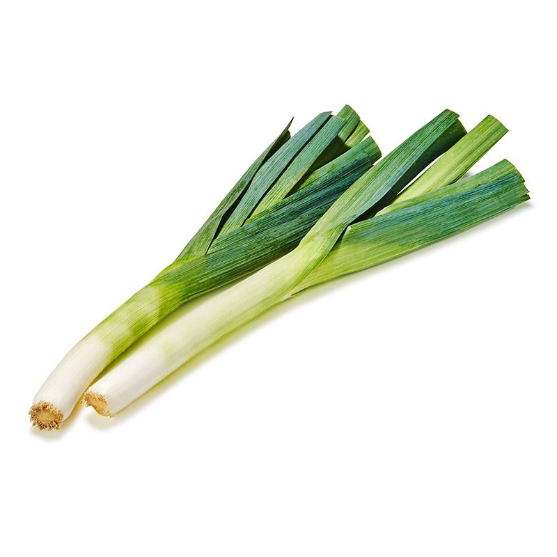 Lauch grün (S)