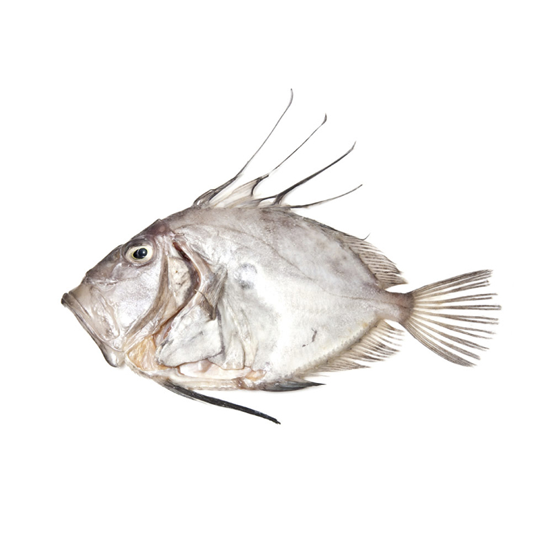 St.Pierre 2-3Kg Bretagne