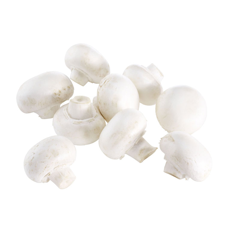 Champignons-weiss-MD-