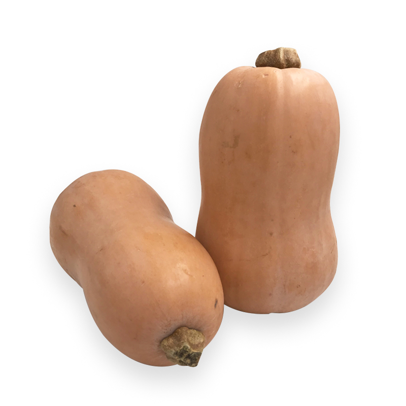 Butternuss-Kürbis 5-6 Stk10kgKi EU