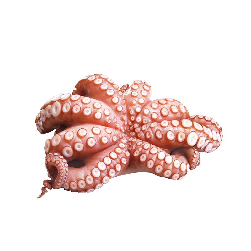 Octopus-MD