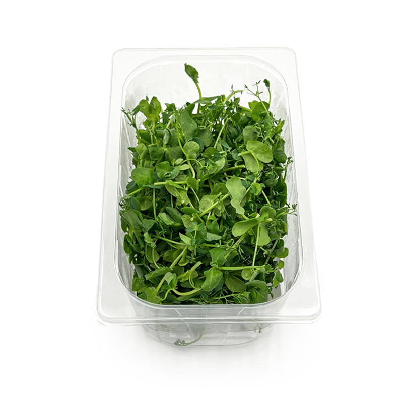 Crazy Pea Koppert Cress-OWN