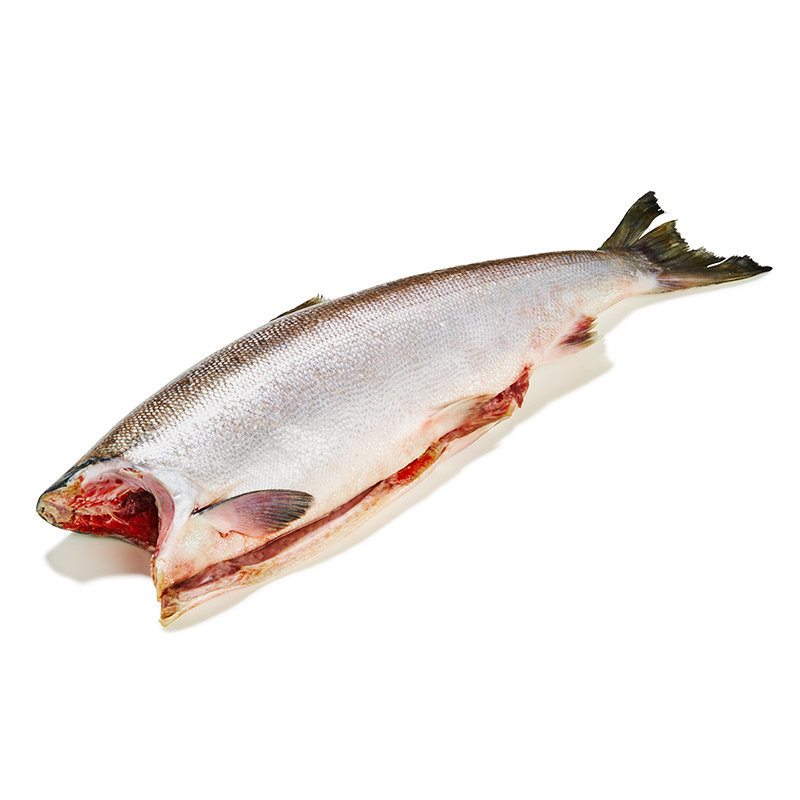Baharat Gewürzmischung