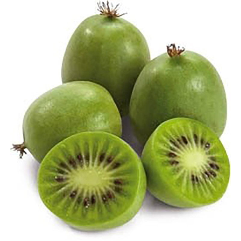 KIWIBEEREN 12X125GCRT CL MINI KIWI