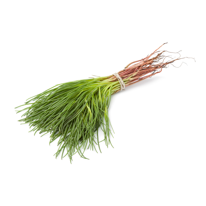 Barba-di-frate-Mönchsbart-AD-