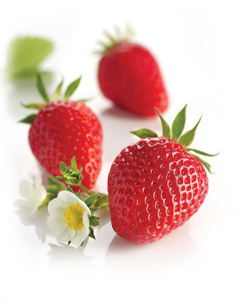 ERDBEEREN-GARIGUETTE