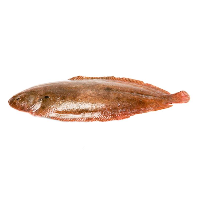 Seezunge 500-600g Bretagne