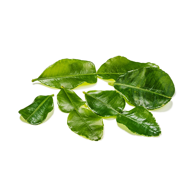 Kaffirlimonenblätter
