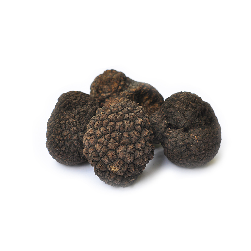 Trüffel schwarz Sommertrüffel