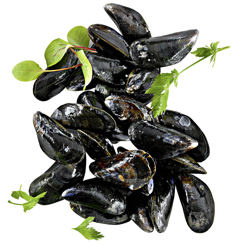 Miesmuscheln 5kg IT