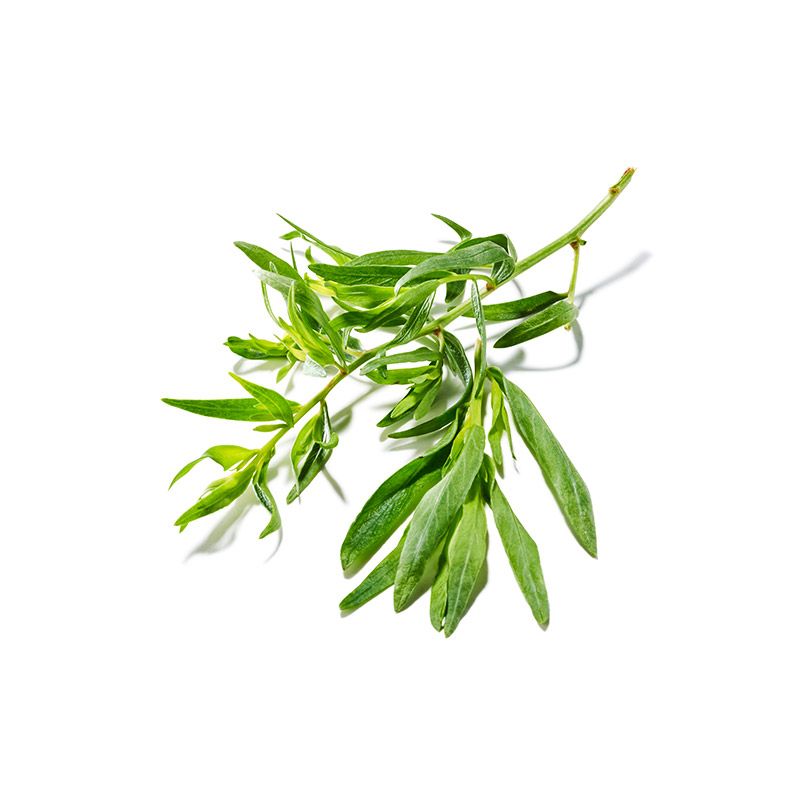 Estragon