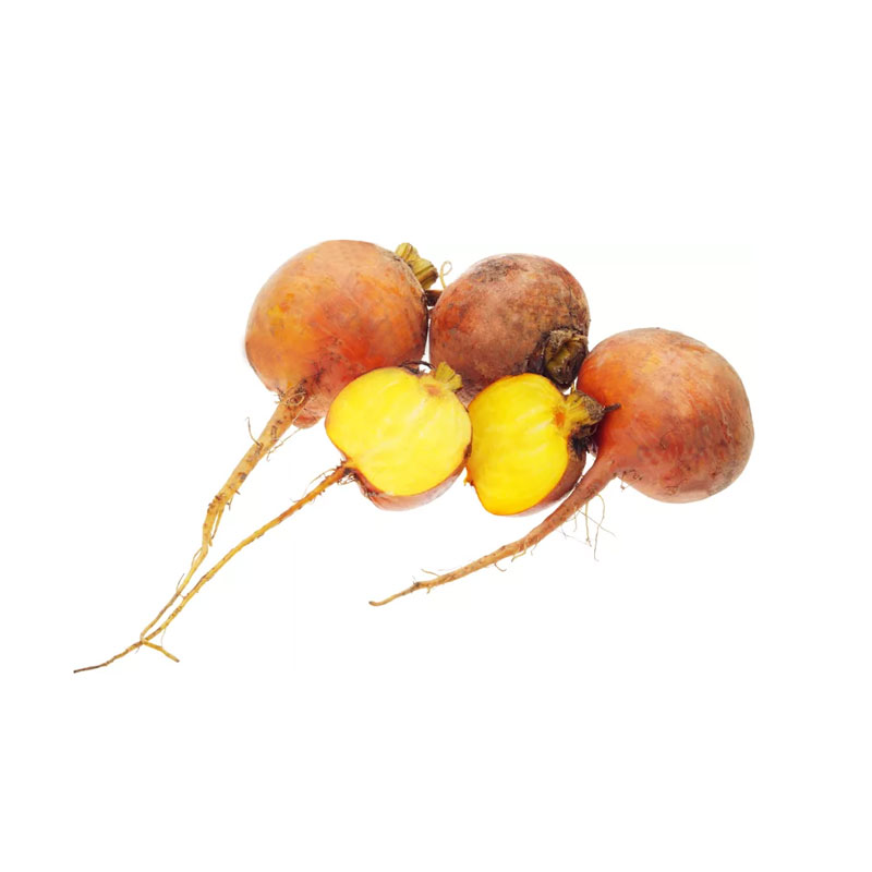 Mini-Randen-gelb