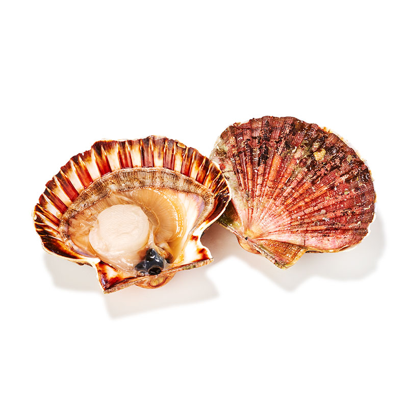 Arganöl