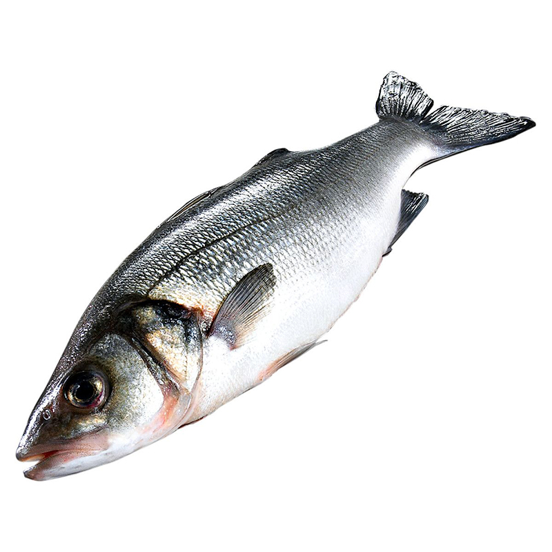 Loup-Bar 2-4kg Wildfang EU