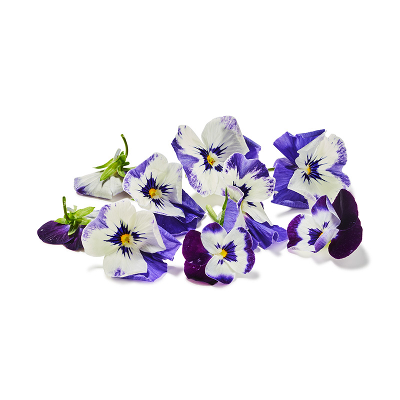 Cornabria Blossom "Koppert Cress"