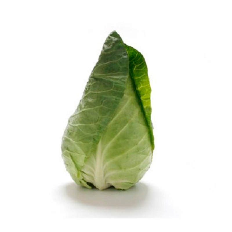spitzkohl