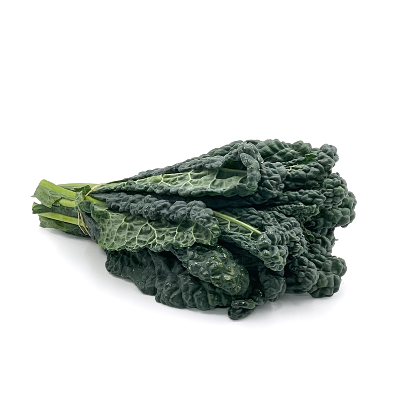Chou palmier / cavolo nero