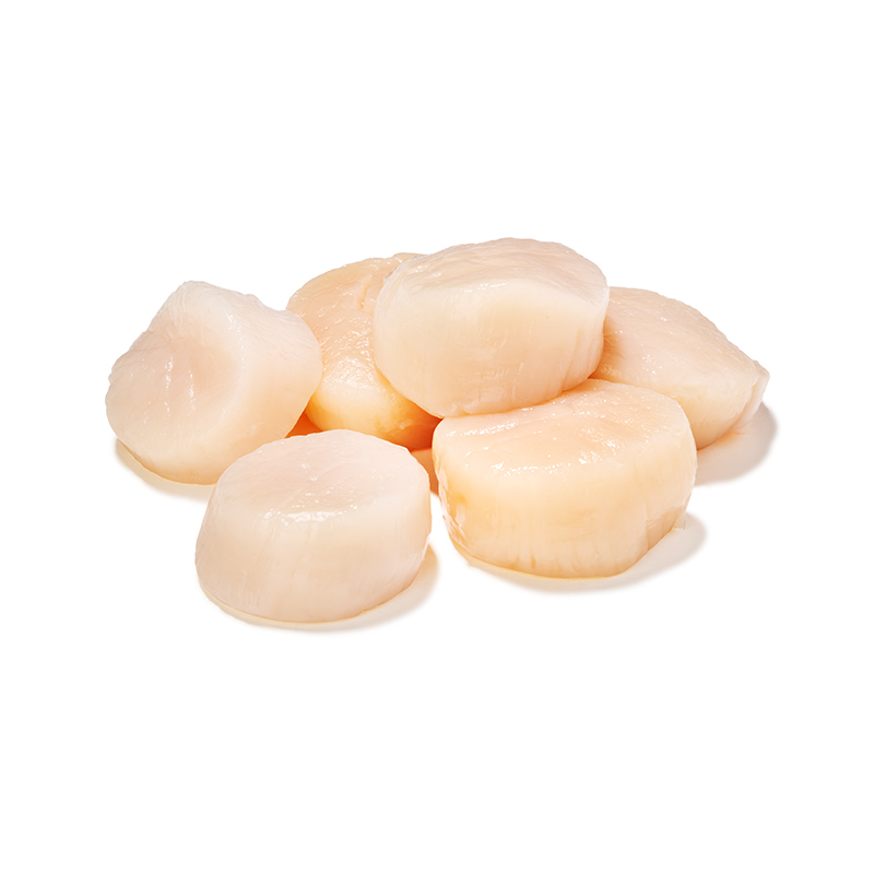 MSC Hotate Noix de coquille Saint- Jacques 10/20