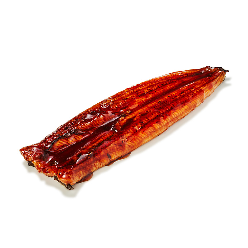 Unagi filet d'anguille