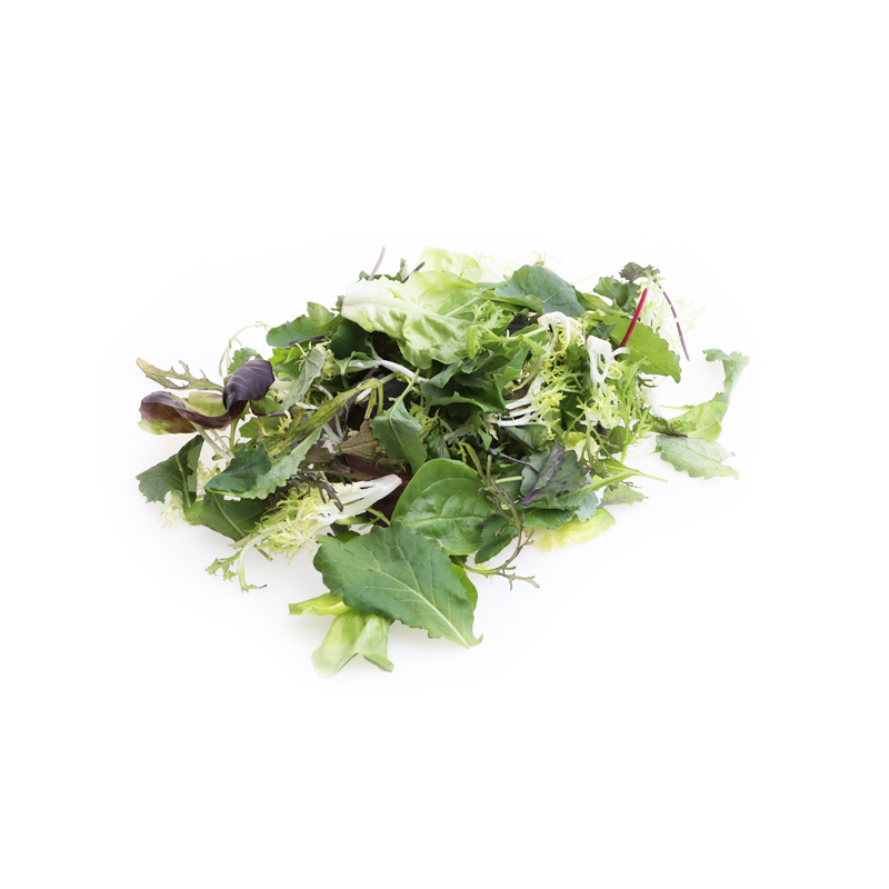 Blattsalate, jung, gemischt 6x250g Kelt