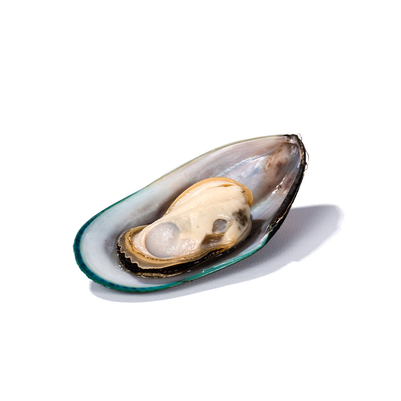 Grüne Muscheln 1/2 Schale