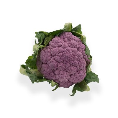 Chou-fleur violet Cimone