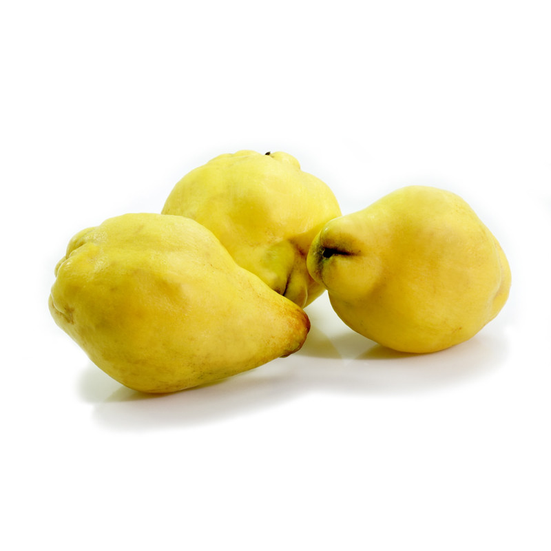 Coings