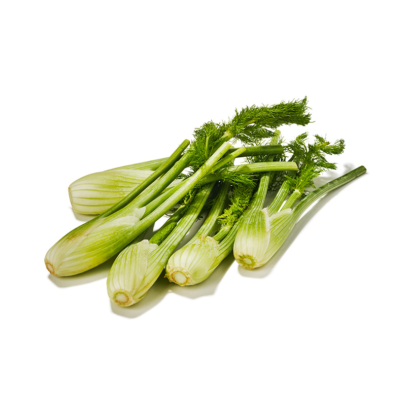 Mini Fenchel