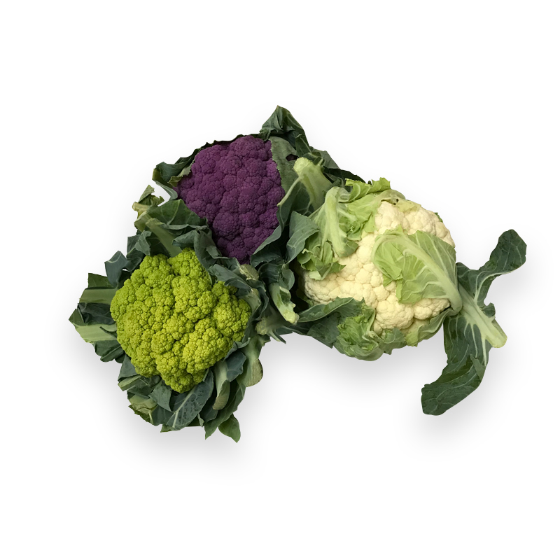Blumenkohl mix 2-3 Farben 6StkCrt EU