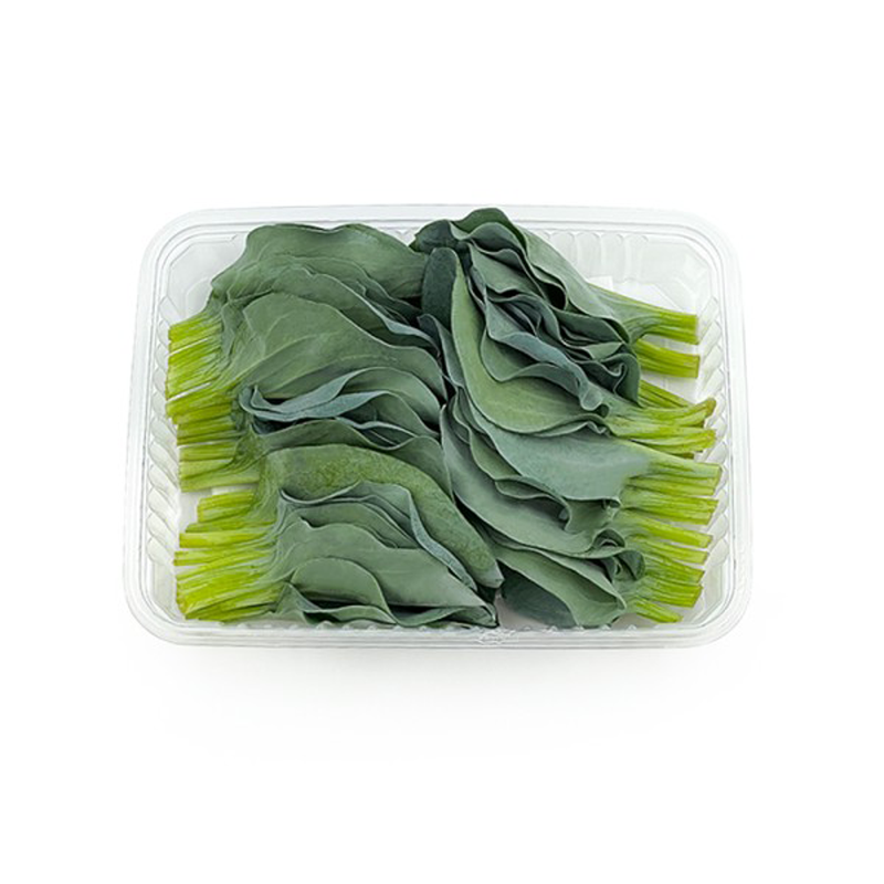 Oyster-Leaves-xxx-