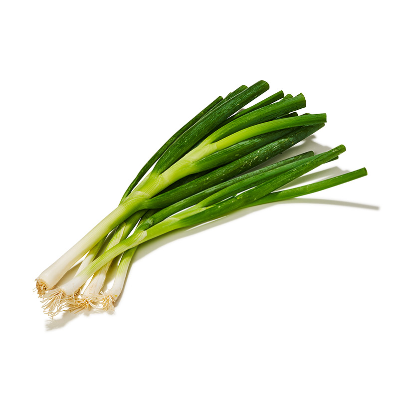 Junger Zwiebellauch