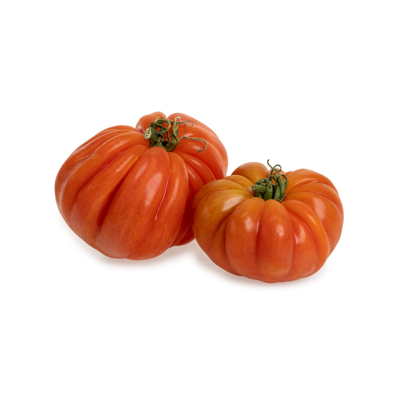 Marmande-rot-