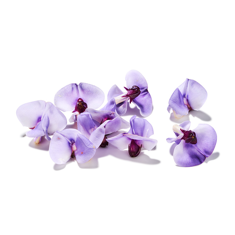 Bean Blossom "Koppert Cress"