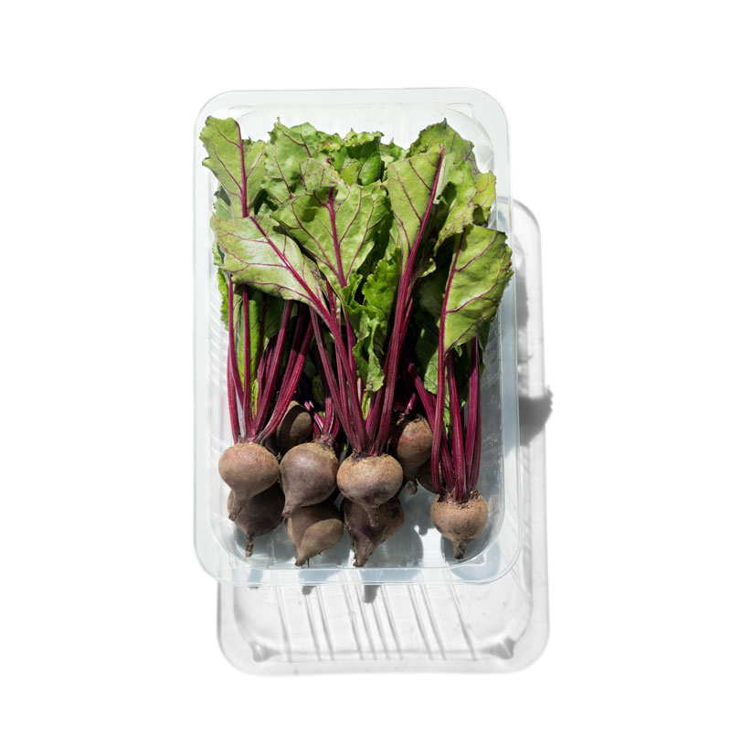 Mini-Randen-rot-