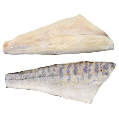 Zanderrückenfilet mit Haut