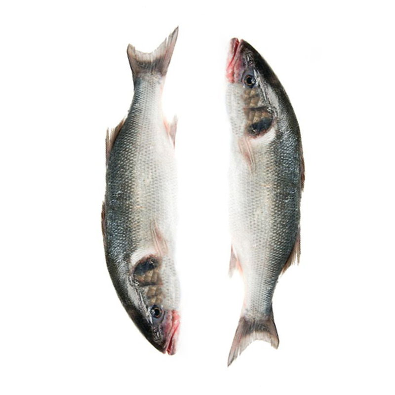 ASC Filet de loup-bar avec peau "élevage"