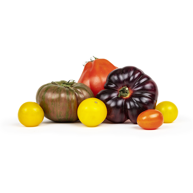 Tomate spéciale mélangée normal & cherry - Seeland