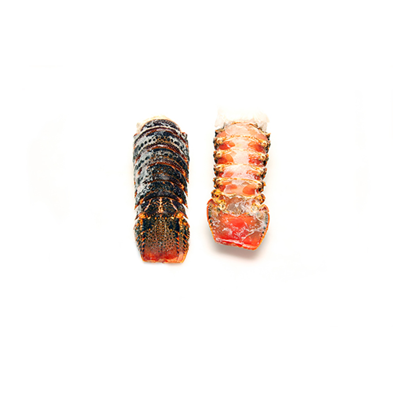 TK MSC Rocklobsterschwänze    90-110g m. S. 4.54kg Tristan