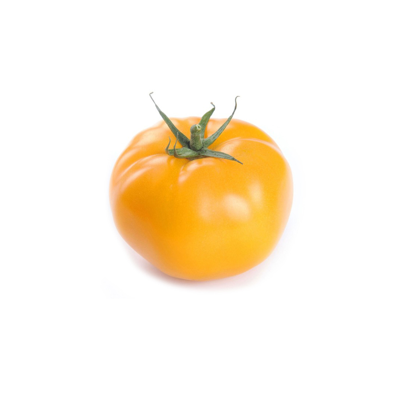 Tomaten-gelb-1_600x600