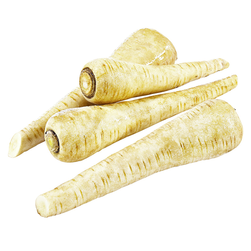 PASTINAKE