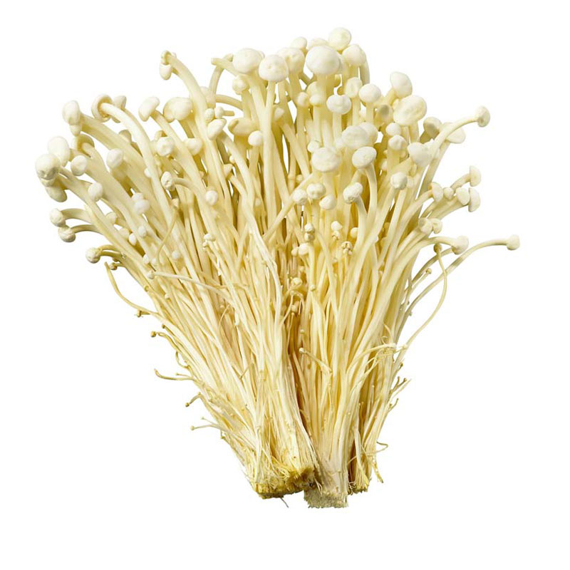 Enoki