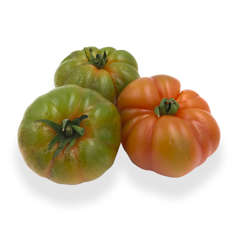 Tomaten Marinda grün rot       ca. 5kgKi