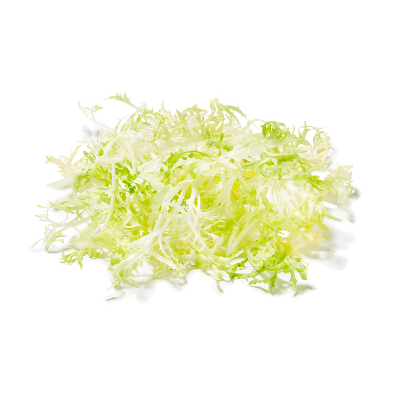 Frisee Salat gewaschen "Keltenhof"
