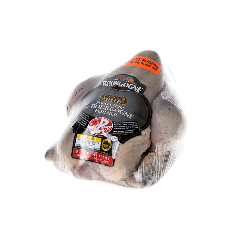 Poulet noir Freiland