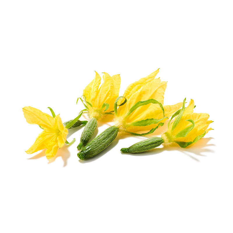 Bio Mini Gurken mit Blüte