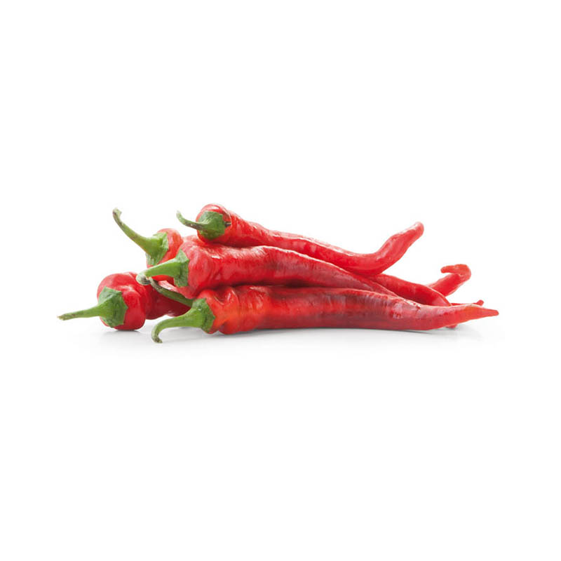 Chilischoten rot