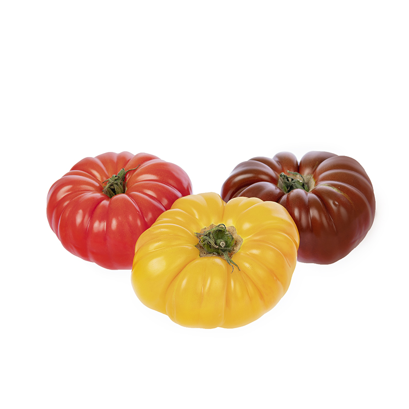 Tomates Marmande noires/jaunes/rouges- Seeland